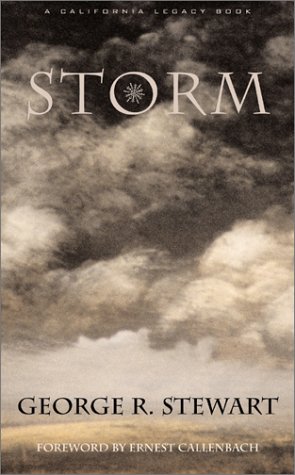 Book cover for Storm