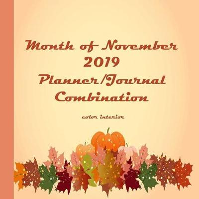 Book cover for Month of November 2019 Planner/Journal Combination