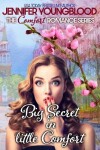 Book cover for Big Secret in Little Comfort