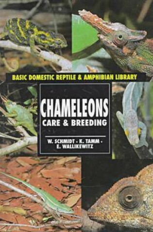 Cover of Chameleons