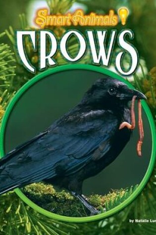 Cover of Crows