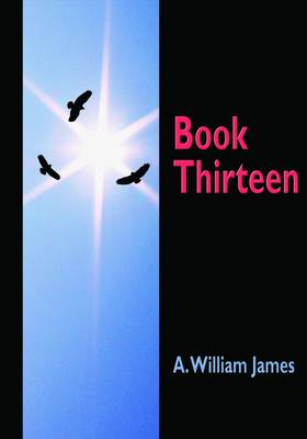 Book cover for Book Thirteen