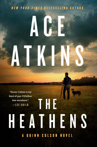 Cover of The Heathens