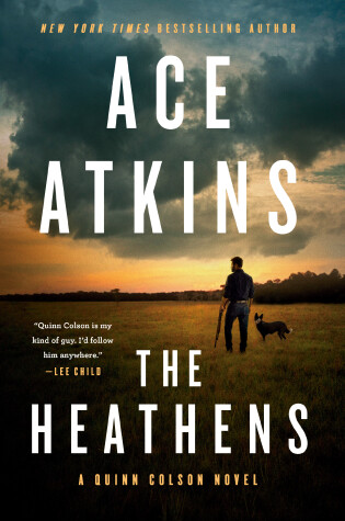 Book cover for The Heathens