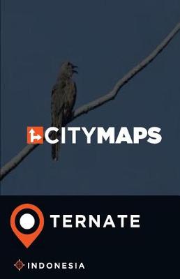 Book cover for City Maps Ternate Indonesia