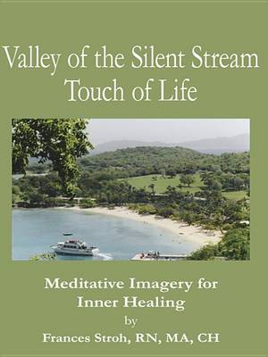 Book cover for Valley of the Silent Stream Touch of Life