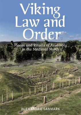 Book cover for Viking Law and Order