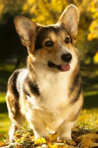 Cover of Pembroke Welsh Corgi