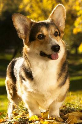 Book cover for Pembroke Welsh Corgi