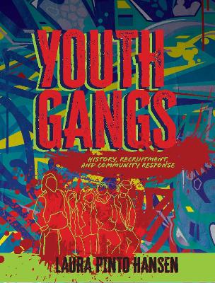 Book cover for Youth Gangs
