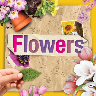 Cover of Flowers