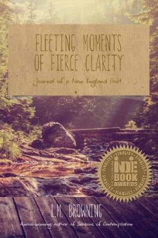 Cover of Fleeting Moments of Fierce Clarity