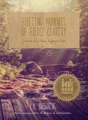 Book cover for Fleeting Moments of Fierce Clarity