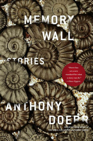 Cover of Memory Wall