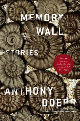 Book cover for Memory Wall