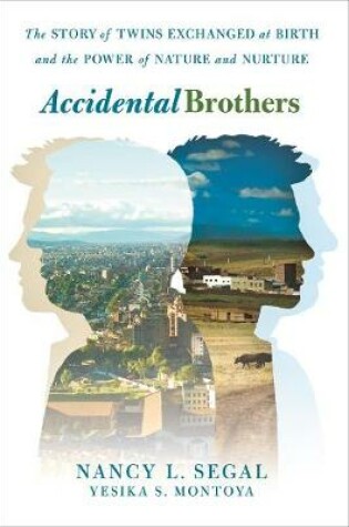 Cover of Accidental Brothers