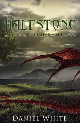 Book cover for Halfstone