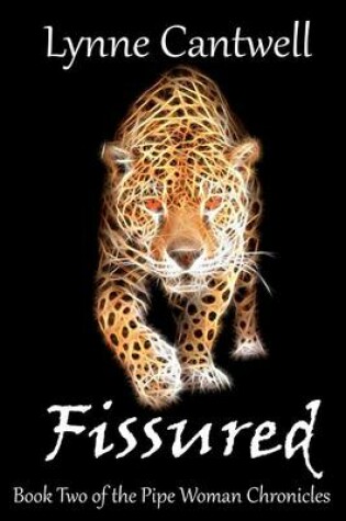 Cover of Fissured