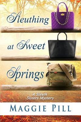 Book cover for Sleuthing at Sweet Springs