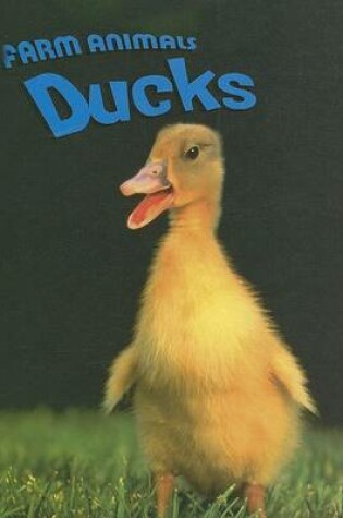 Cover of Ducks