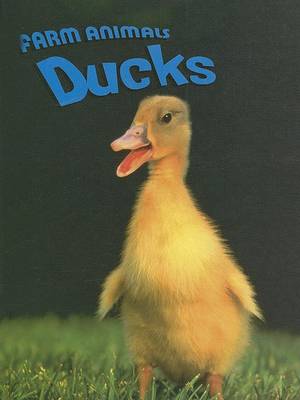 Cover of Ducks