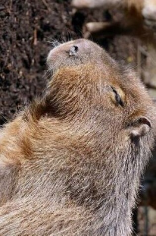 Cover of Cute Capybara Profile Journal
