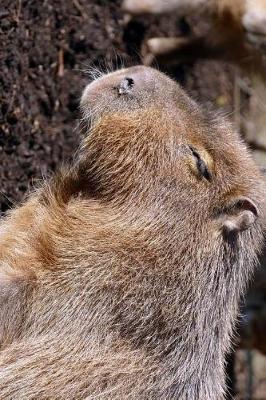 Book cover for Cute Capybara Profile Journal