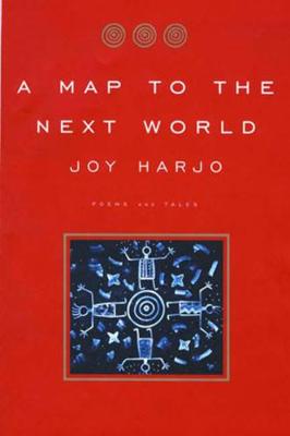 Book cover for A Map to the Next World