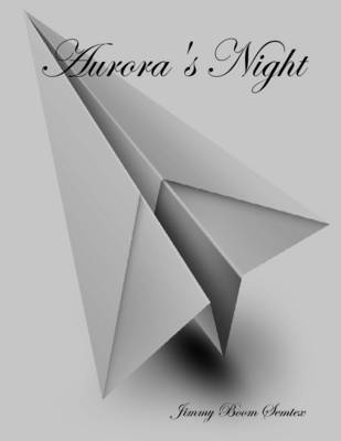 Book cover for Aurora's Night