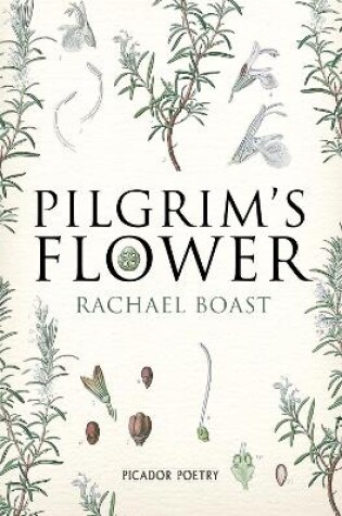 Cover of Pilgrim's Flower