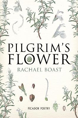 Book cover for Pilgrim's Flower