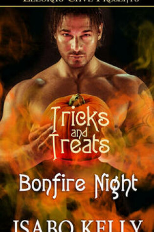 Cover of Bonfire Night