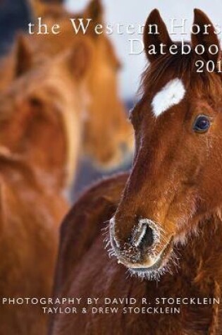 Cover of 2019 Western Horse Datebook