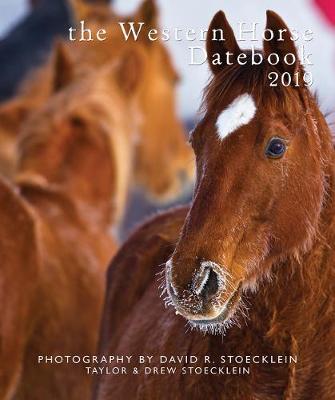 Book cover for 2019 Western Horse Datebook