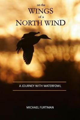 Book cover for On The Wings of a North Wind