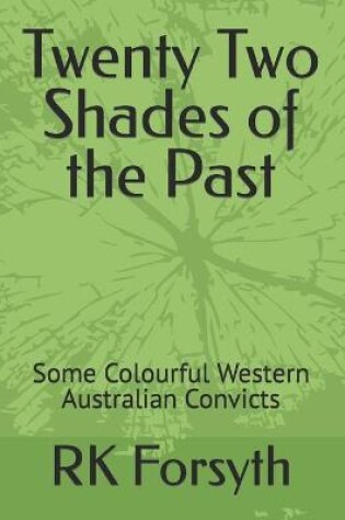 Cover of Twenty Two Shades of the Past