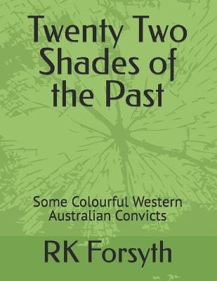 Book cover for Twenty Two Shades of the Past