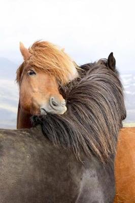 Book cover for Iceland Horses Notebook