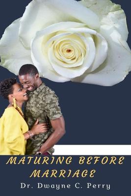 Book cover for Maturing Before Marriage