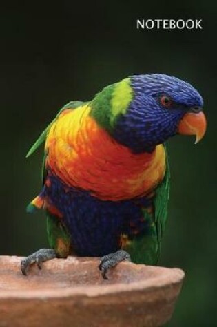 Cover of Rainbow Lorikeet - Parrot Notebook - Inspirational Idea Journal