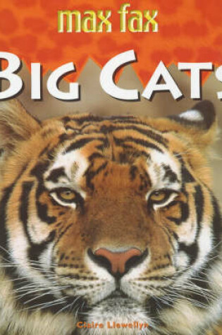 Cover of Big Cats