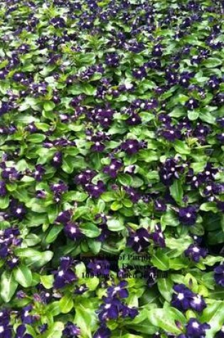 Cover of Field of Purple Vinca Flowers 100 Page Lined Journal