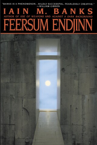 Book cover for Feersum Endjinn