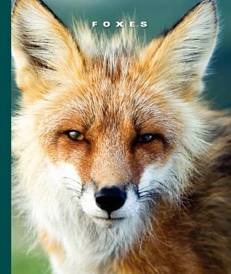 Cover of Foxes