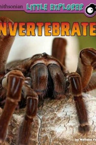 Cover of Invertebrates: a 4D Book (Little Zoologist)