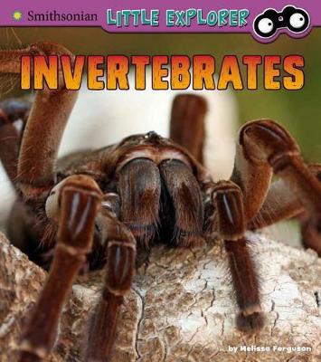 Book cover for Invertebrates: a 4D Book (Little Zoologist)
