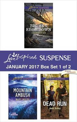 Book cover for Harlequin Love Inspired Suspense January 2017 - Box Set 1 of 2