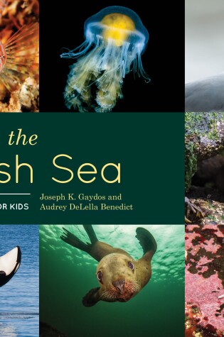 Cover of Explore the Salish Sea