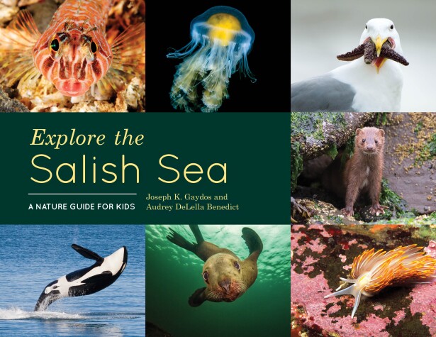 Book cover for Explore the Salish Sea