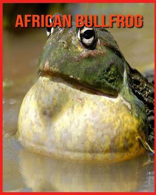 Book cover for African Bullfrog